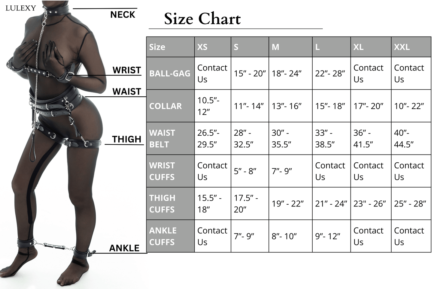 BDSM Size Chart – Lulexy Bondage Gear Sizing Guide for Ball gags, Collars, Cuffs, and Belts