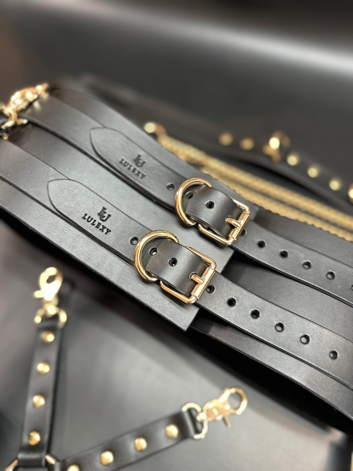 Mona 10 - Piece Black Bondage Kit - Lulexy