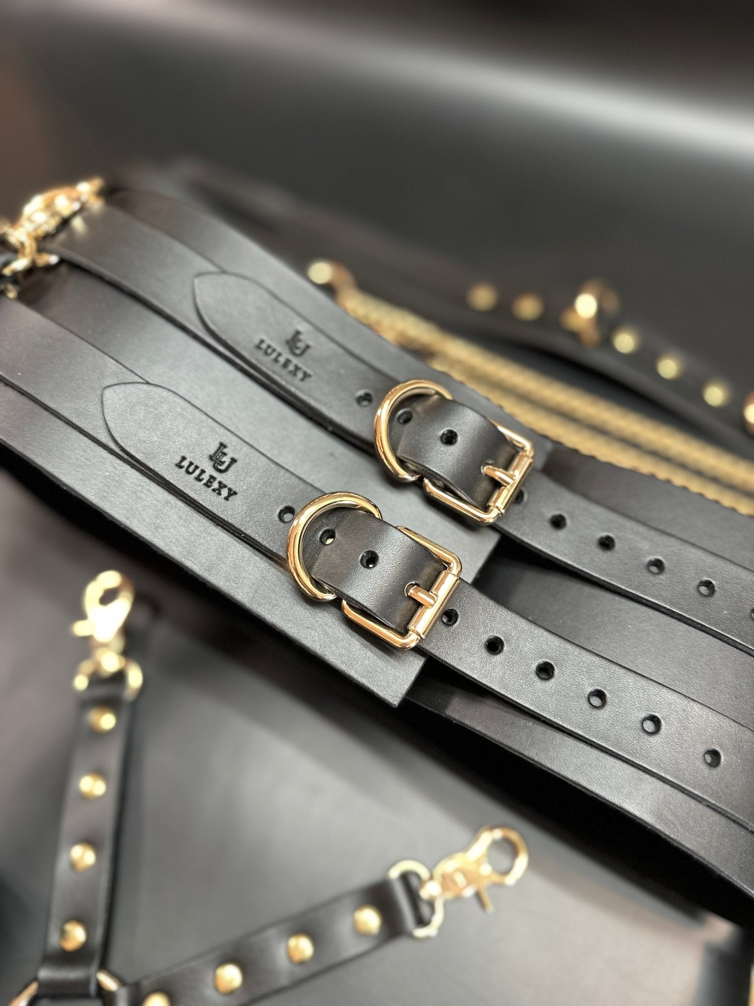 Mona 10 - Piece Black Bondage Kit - Lulexy