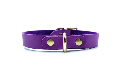 MONA Purple Day Collar - Lulexy
