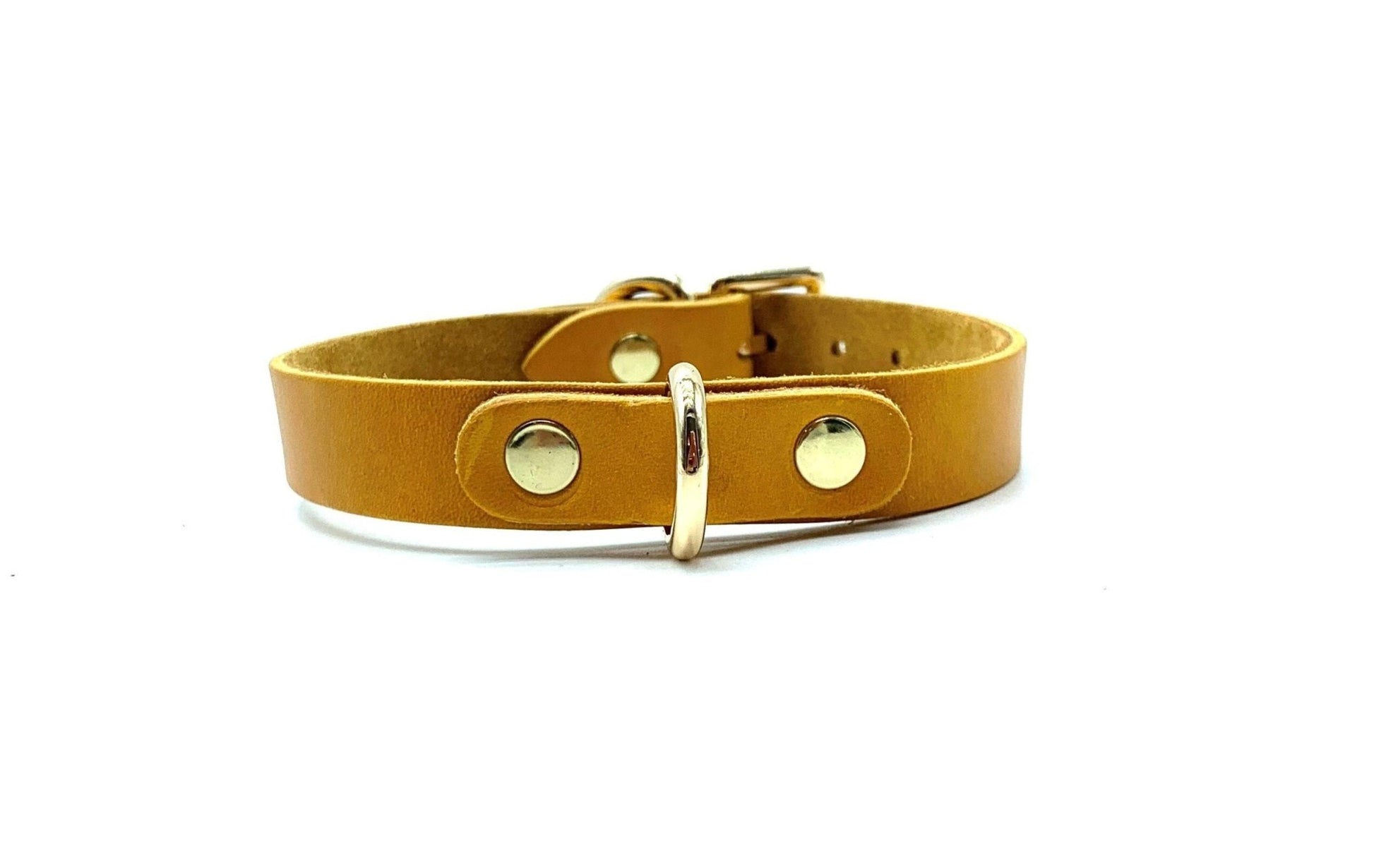 MONA Purple Day Collar - Lulexy