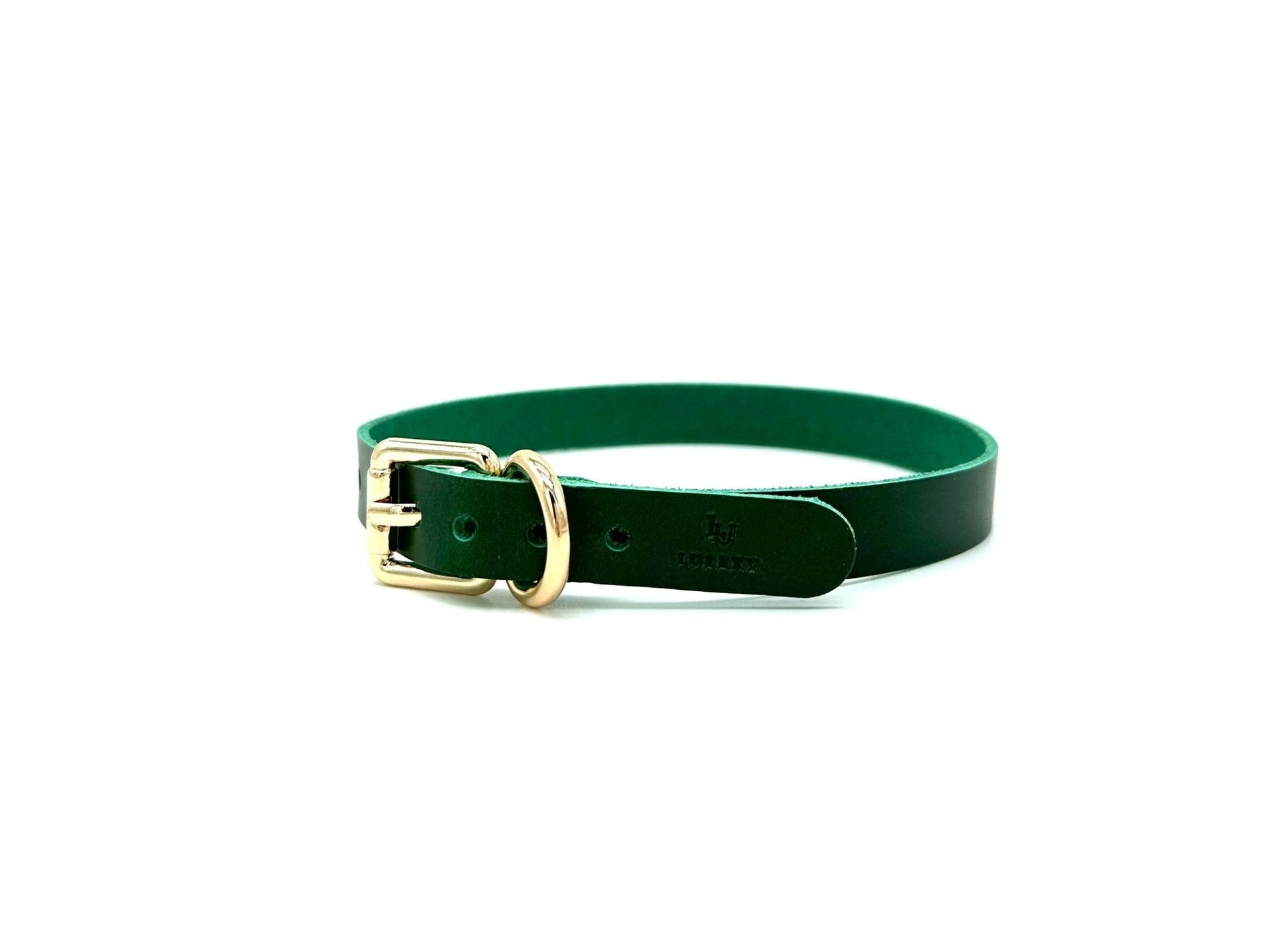 NINA Green Slim Leather Choker - Lulexy
