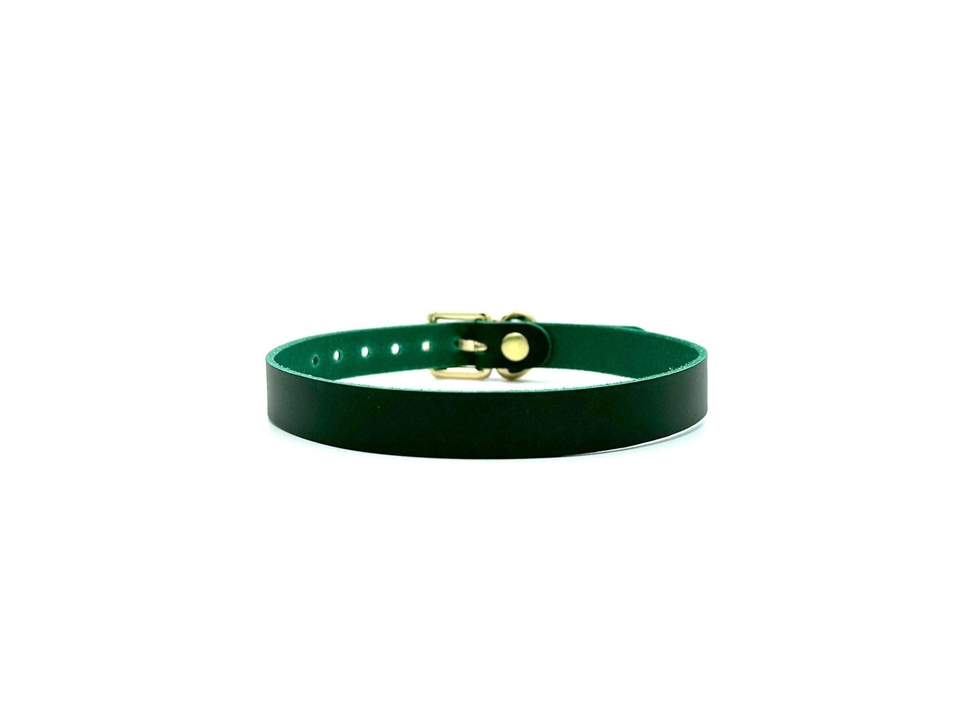 NINA Green Slim Leather Choker - Lulexy