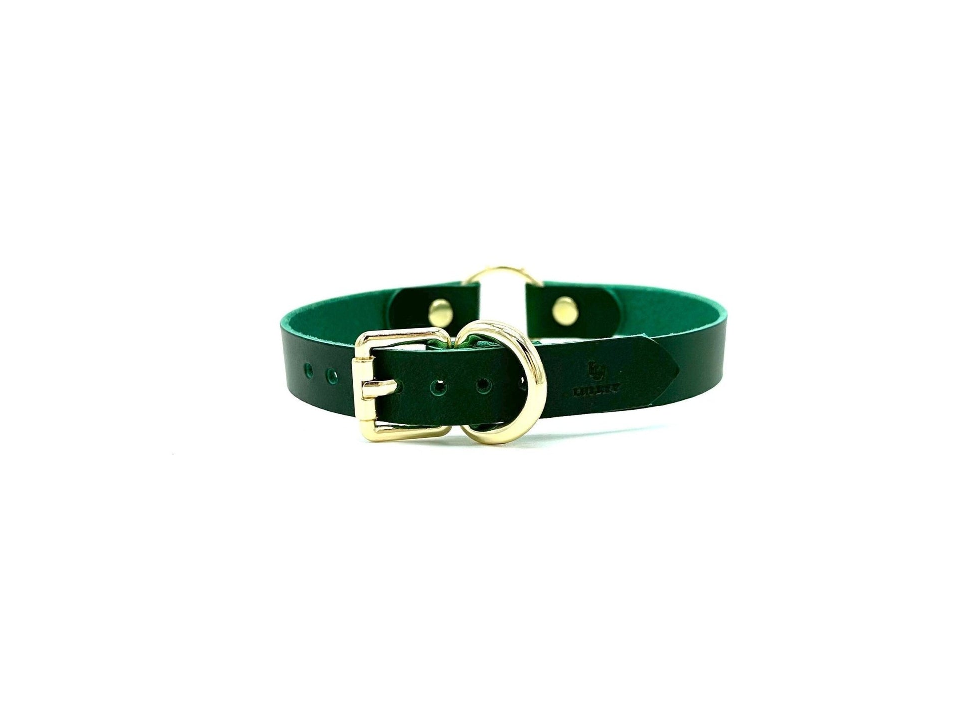 ORIA Red Leather O Ring Collar - Lulexy