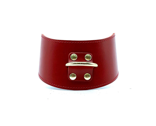 TANGO Red Curved Collar - Lulexy