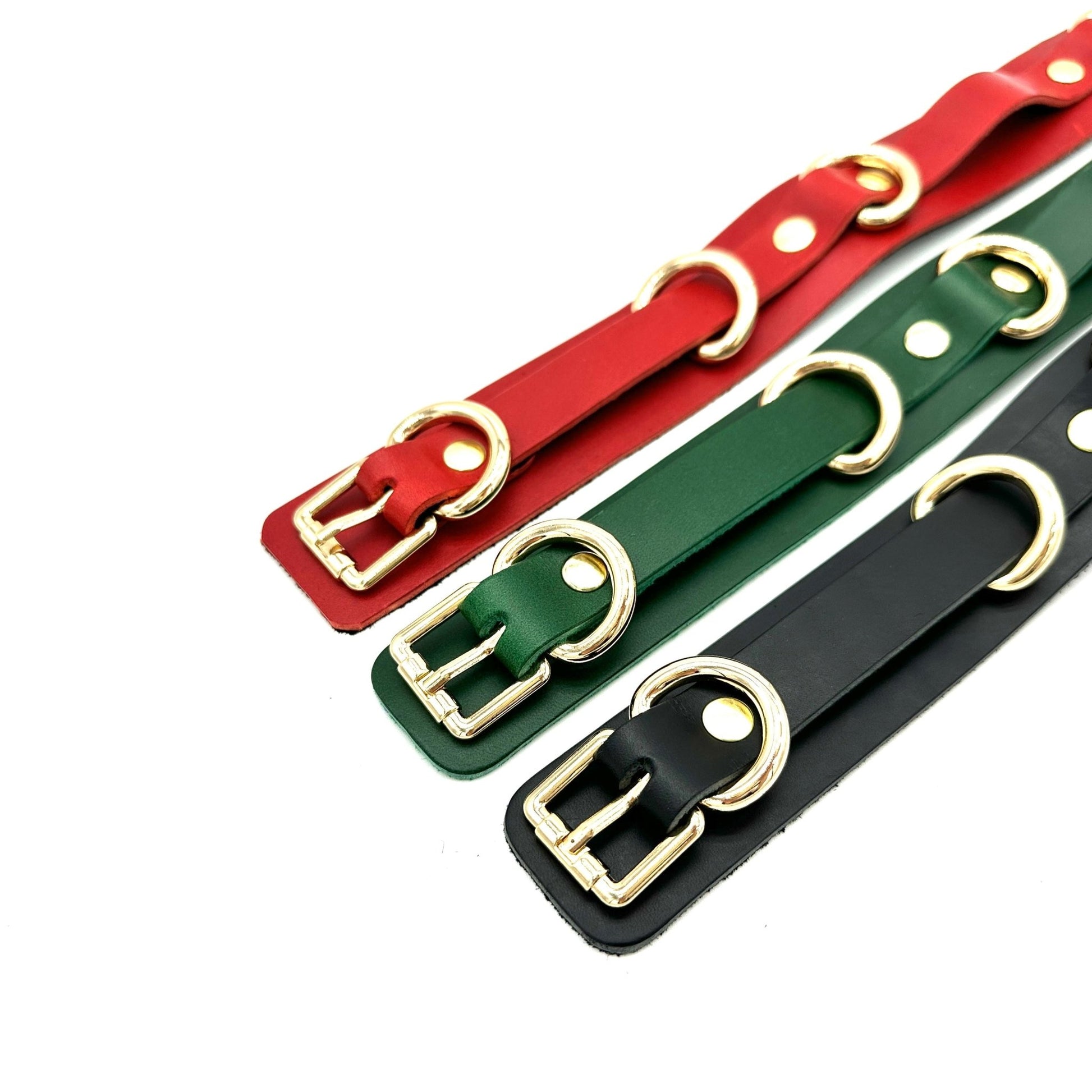 Italian leather collars in red, green and black with gold hardware, adjustable strap designs