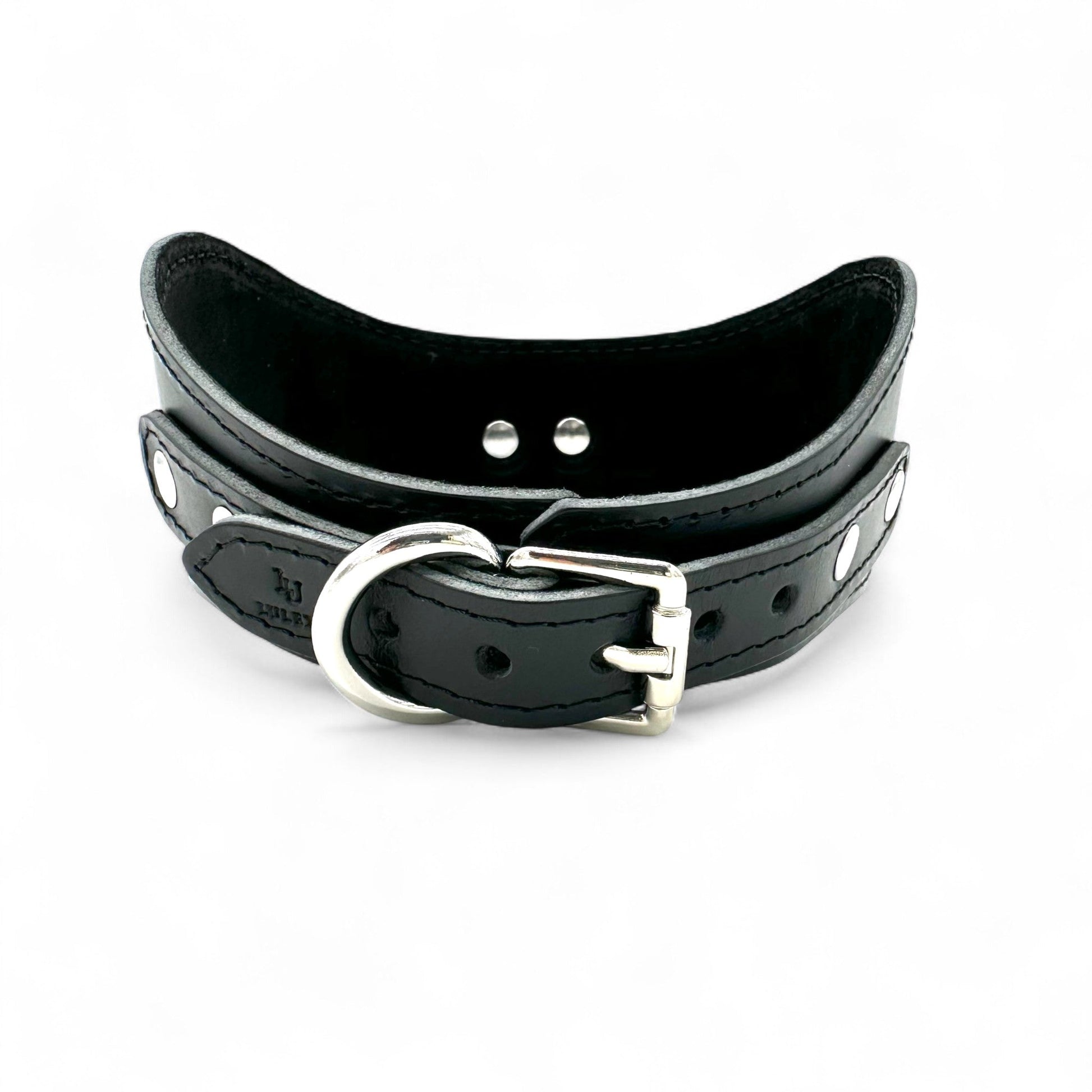 Back view of black leather posture collar from Tango collection showcasing silver buckle, multiple adjustment holes.