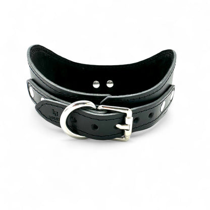 Back view of black leather posture collar from Tango collection showcasing silver buckle, multiple adjustment holes.