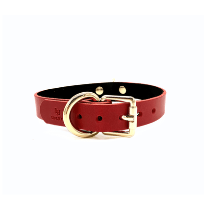 Red Buttero Italian leather choker with gold hardware, adjustable collar with smooth structured design