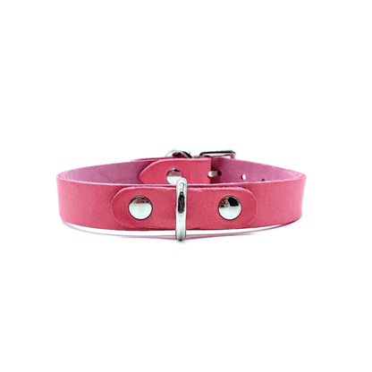 Pink Buttero Italian leather choker with gold hardware, adjustable collar with smooth luxury finish