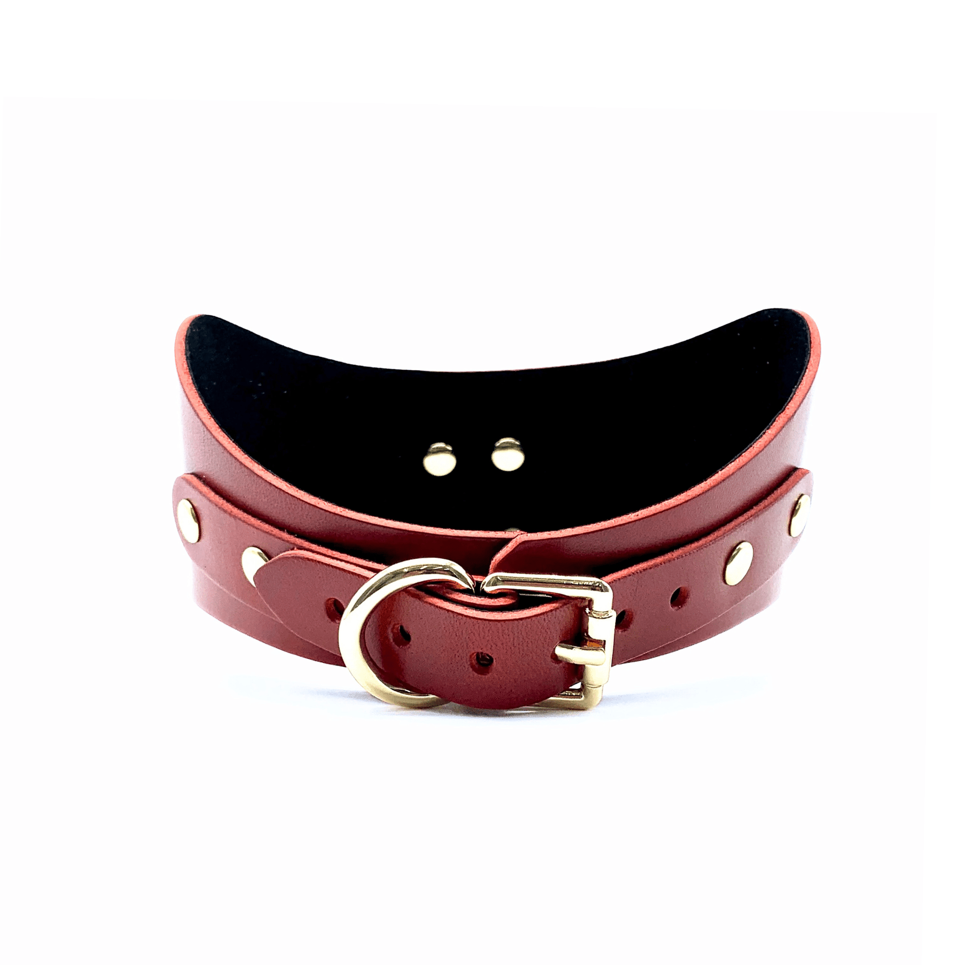Back view of red leather posture collar with gold buckle, multiple adjustment holes and gold hardware.