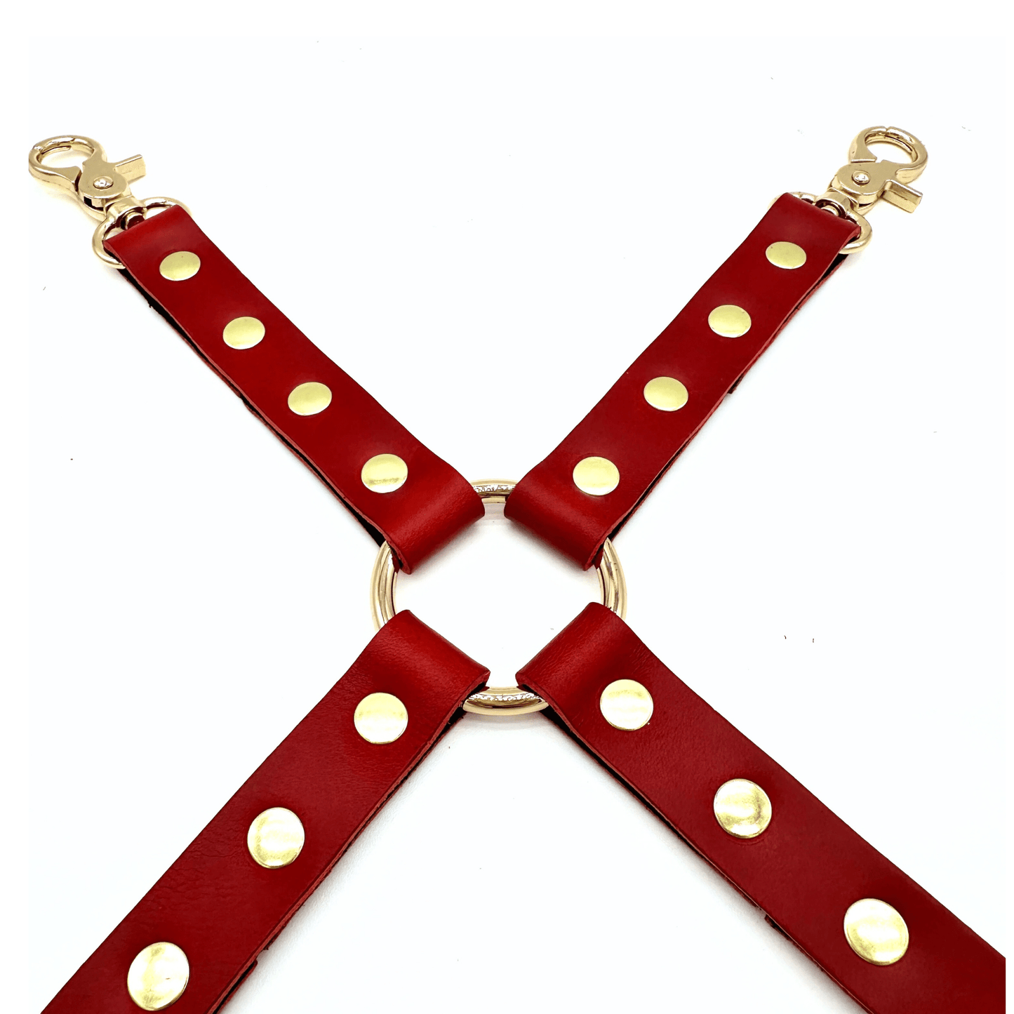 Close up shot of read leather hogtie showcasing gold center O ring and snap hooks on white background. 