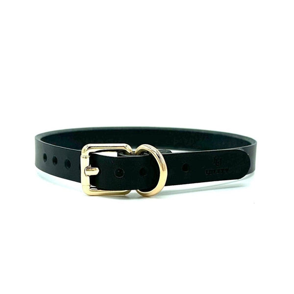 Black leather collar with gold buckle and smooth finish, minimalist handmade design crafted in USA