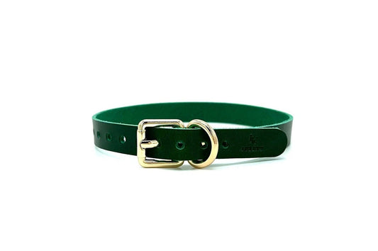 NINA Green Slim Leather Choker - Lulexy