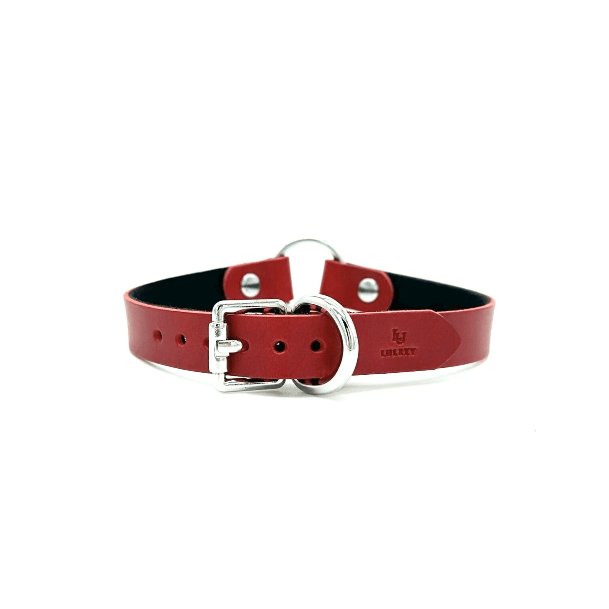 Red leather day collar with silver hardware, smooth Italian leather design with front plate detail