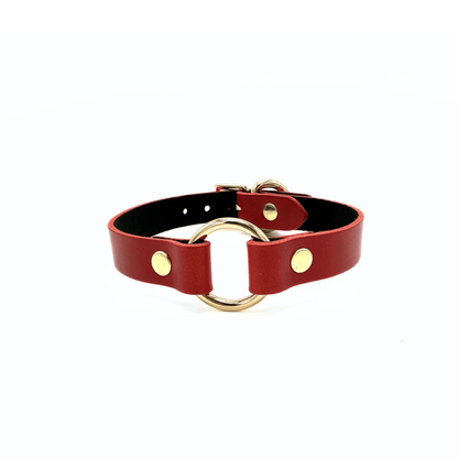 Red leather day collar side view with gold buckle, adjustable strap and clean finish