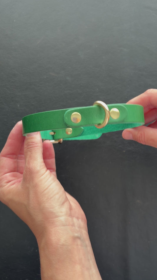Mini D-Ring Italian Leather Day Collar