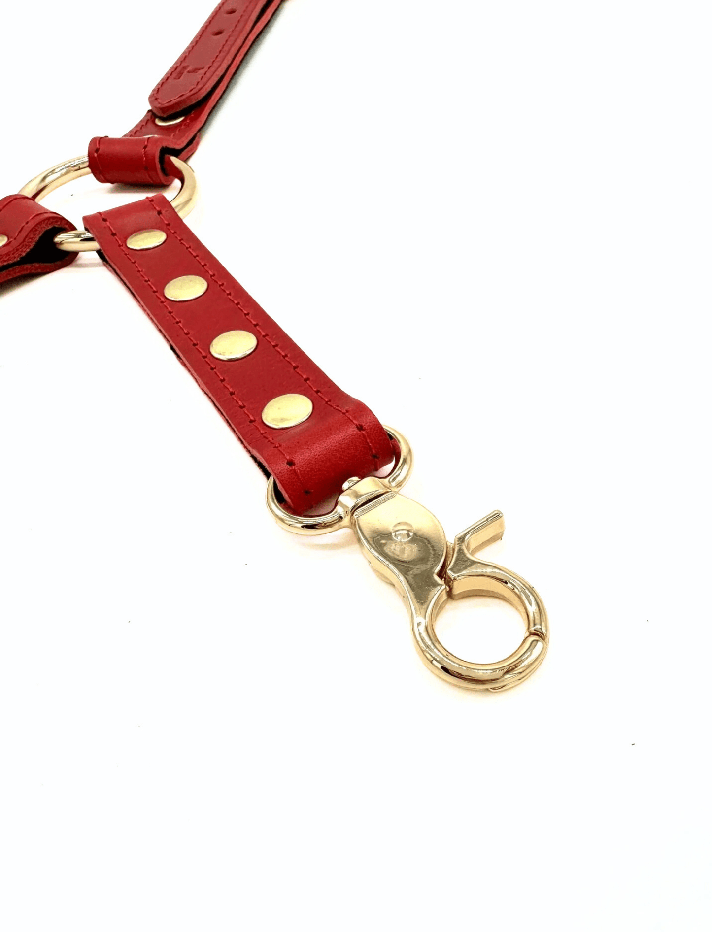 Close-up of red leather connector strap with gold hardware, showing rivets, buckle and swivel clip detail