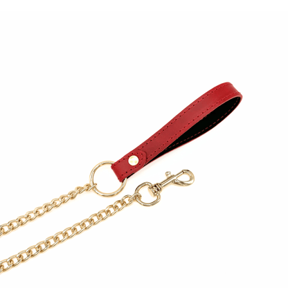Red leather leash with gold chain and hardware, Tango collection with leather handle and detachable clip