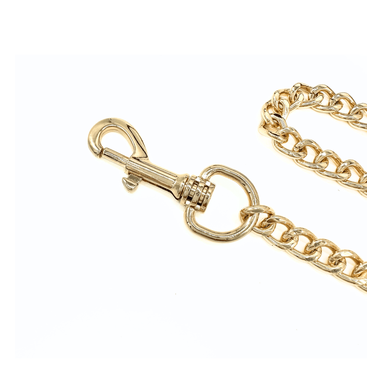 Close-up of gold chain leash hardware with clip and ring detail, polished luxury metal finish