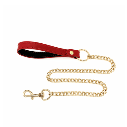 Red leather leash with gold chain, Tango design featuring leather handle and premium detachable hardware