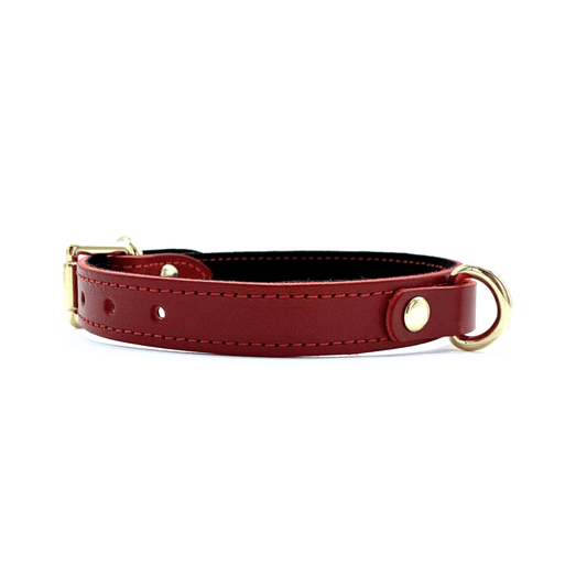 Red Italian leather collar side view with gold hardware, adjustable strap and clean finish