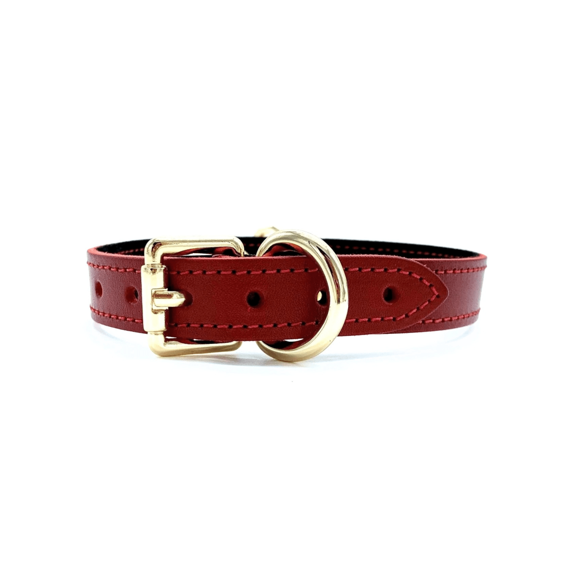 Red Buttero Italian leather collar with gold buckle, adjustable strap and rivet detail