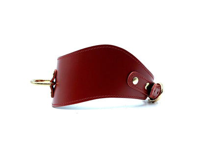 TANGO Red Curved Collar - Lulexy