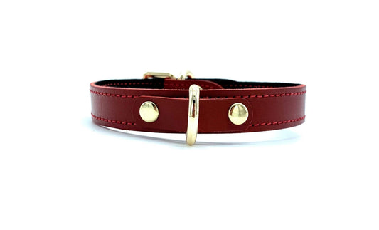 TANGO Red Day Collar - Lulexy