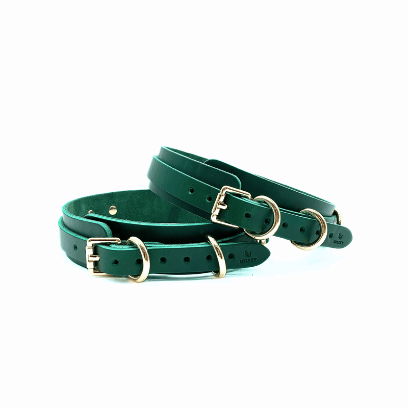 Green leather thigh cuffs 1.5 inch wide showcasing gold buckles, D rings and multiple adjustment holes. 