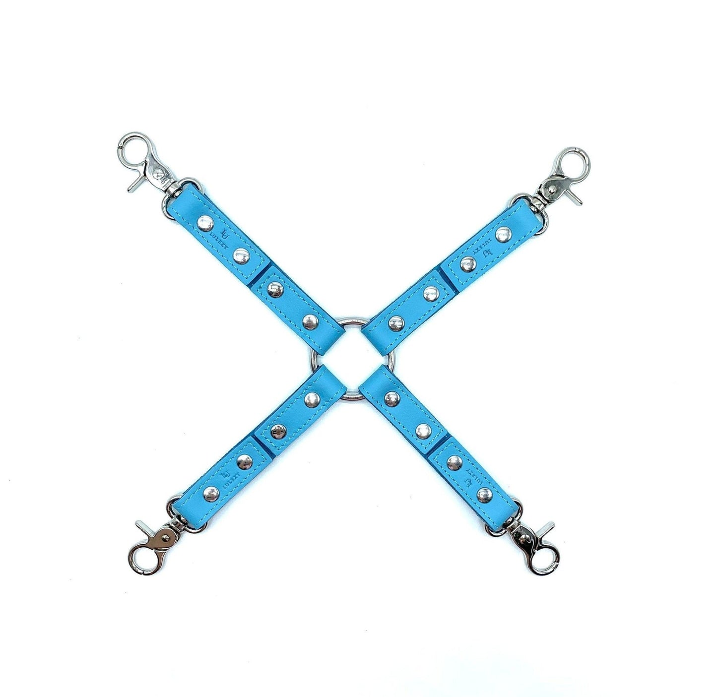 VIENNA Baby Blue Leather 4-Way Hog-Tie - Lulexy